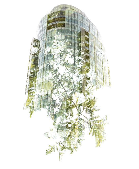 Architettura sostenibile